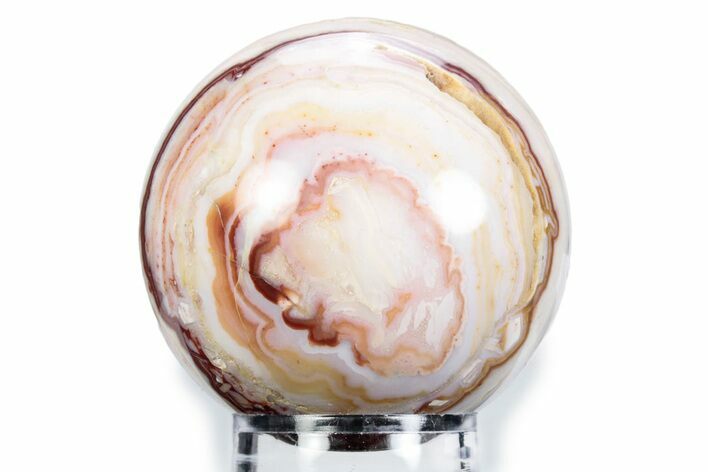 Polished Banded Java Lace Agate Sphere - Indonesia #360364